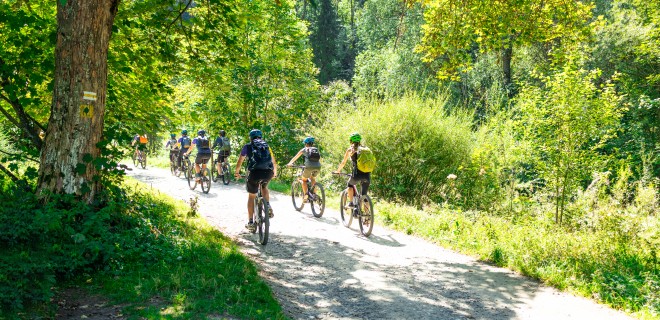 Back view of six cyclists on a countryside road.